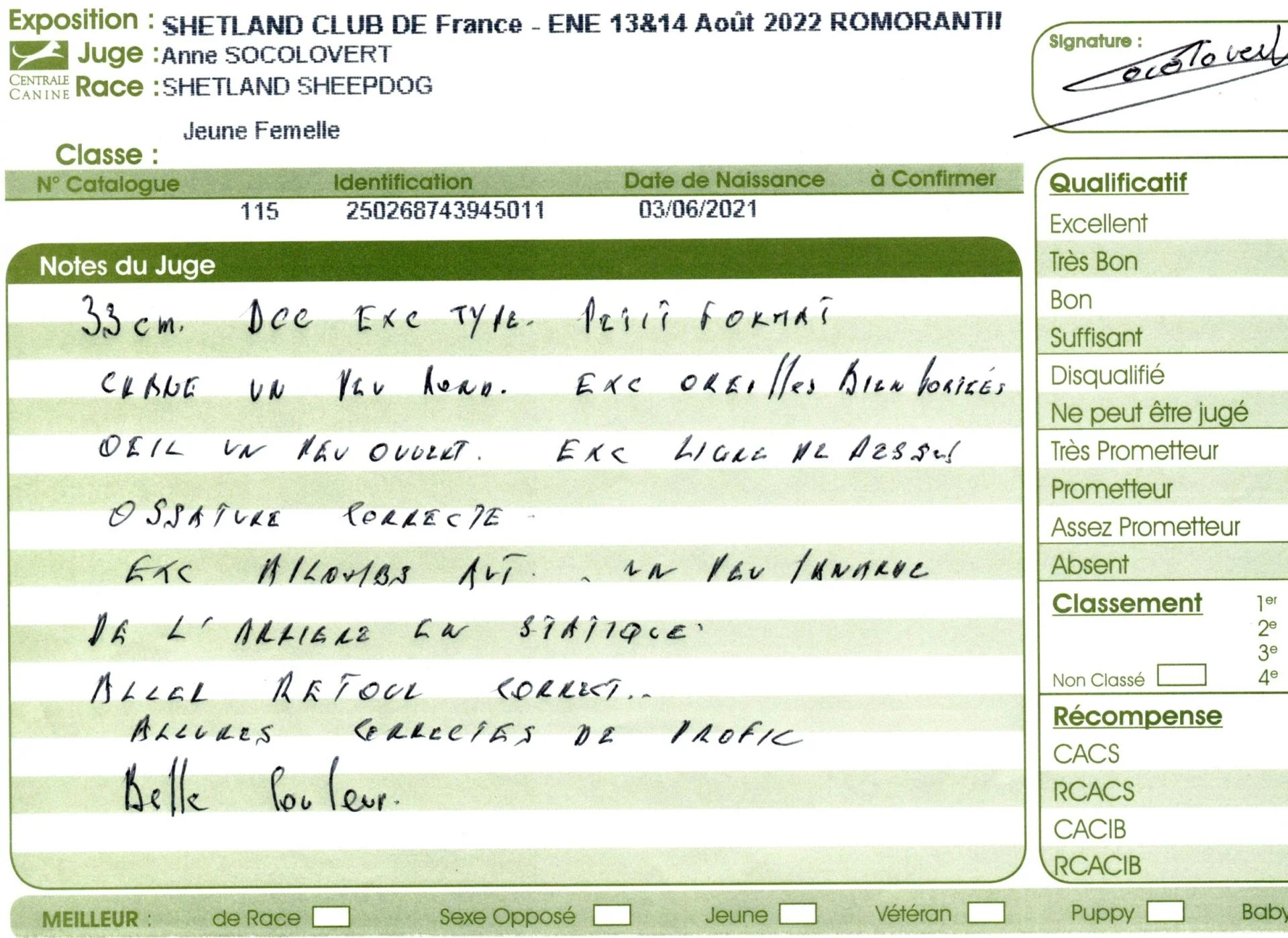 Shana ne 2022 jeune